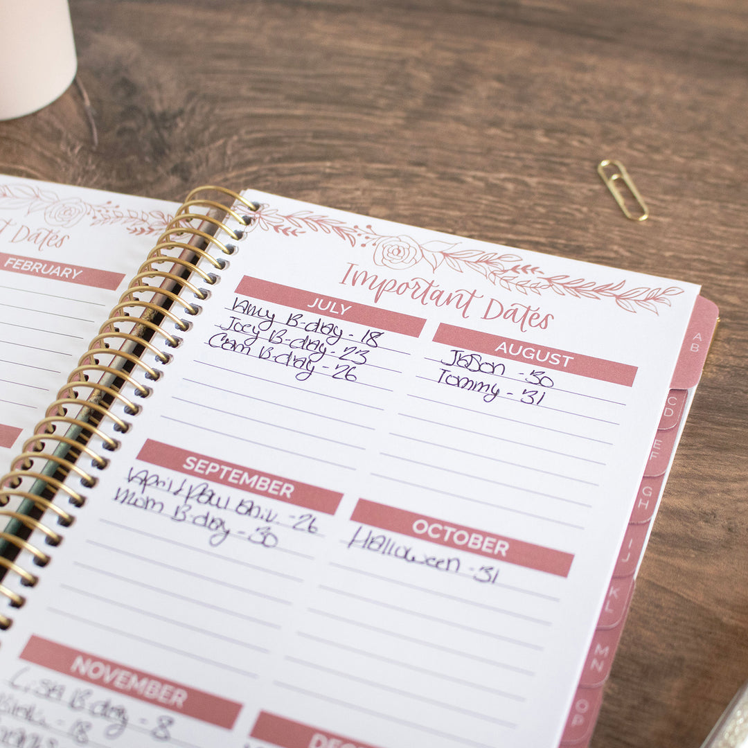 Contact Book, Daydream Believer