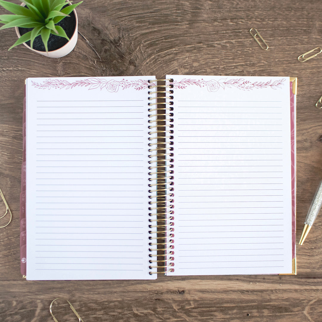 Contact Book, Daydream Believer