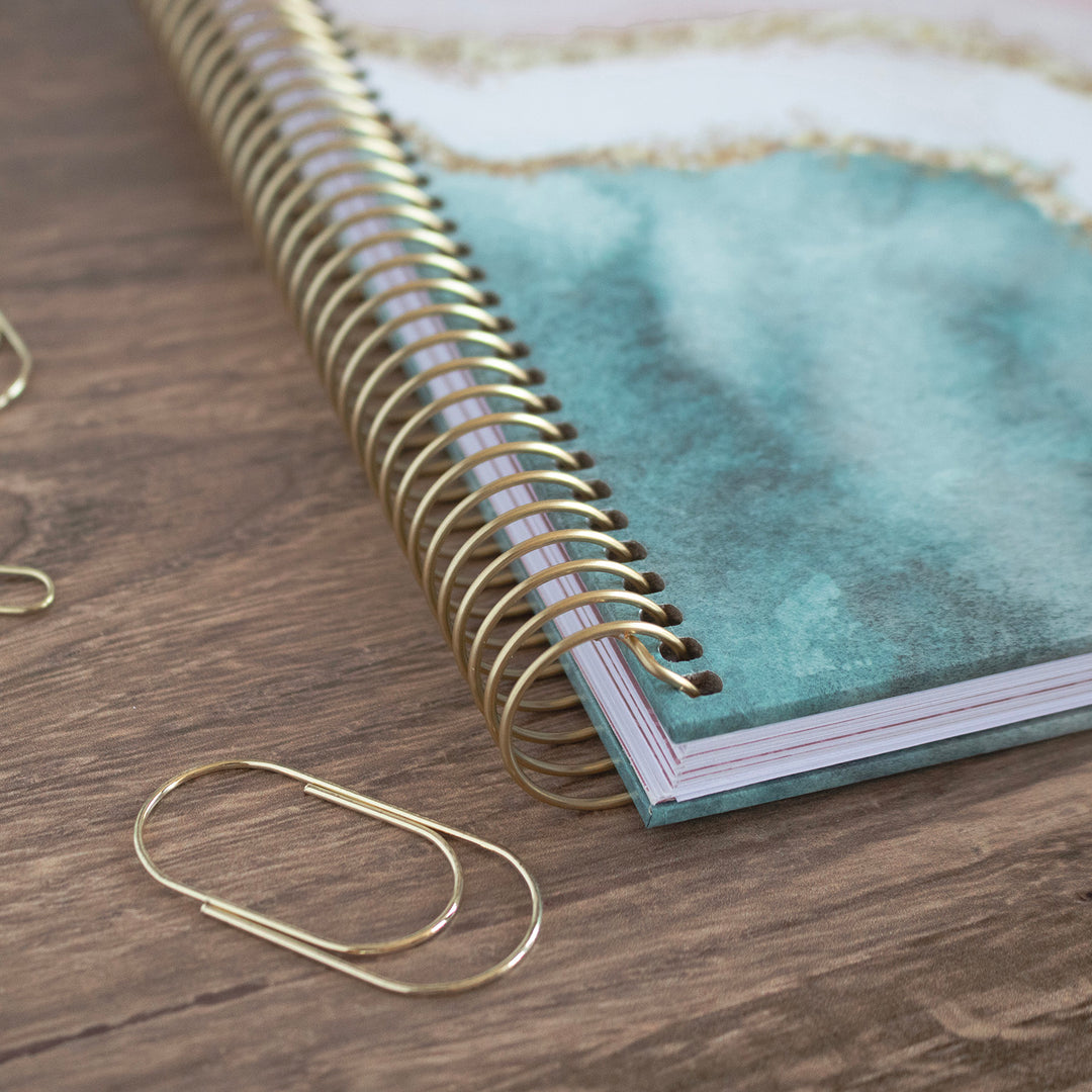 Contact Book, Daydream Believer