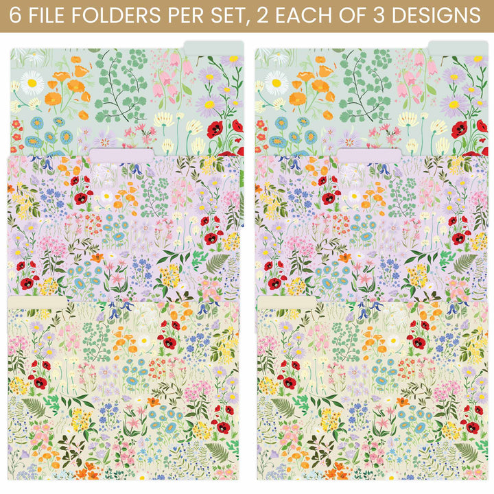 File Folder Set, 6 Pack, Garden Party