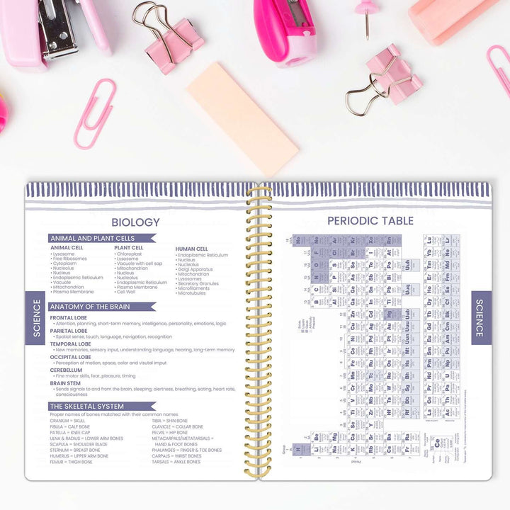 2025-26 Soft Cover Daisy Student Planner, 7" x 9", Cotton Candy Clouds