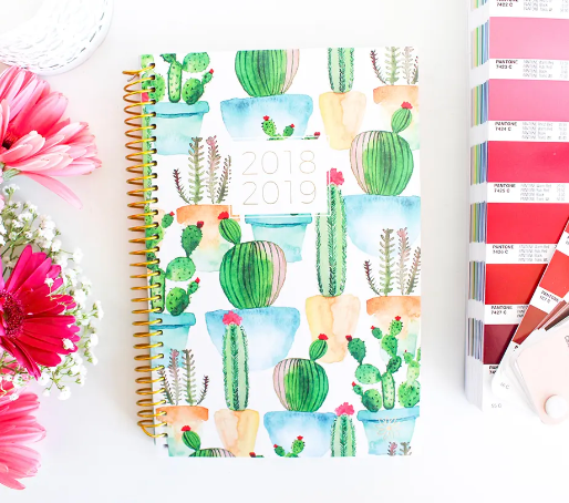 2018-19 bloom planner on a desk with a cacti design on the cover