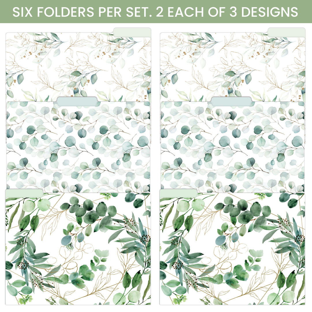 File Folder Set, Eucalyptus