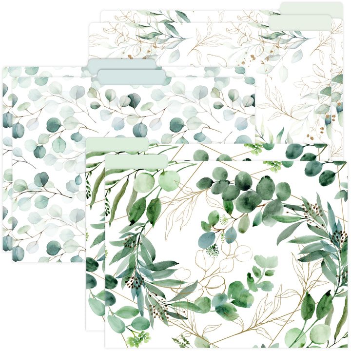 File Folder Set, 6 Pack, Eucalyptus