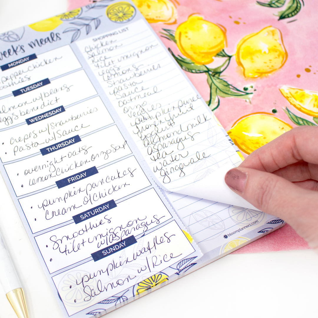 Planning Pad, 6" x 9", Meal Planning Pad with Magnets, Blue Lemons