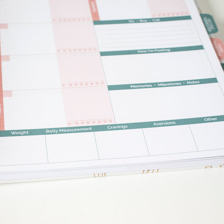 Pregnancy & Baby's First Year Planner & Calendar, The Story of You