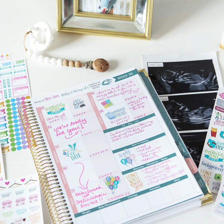 Planner Sticker Pack, Pregnancy & Baby's First Year