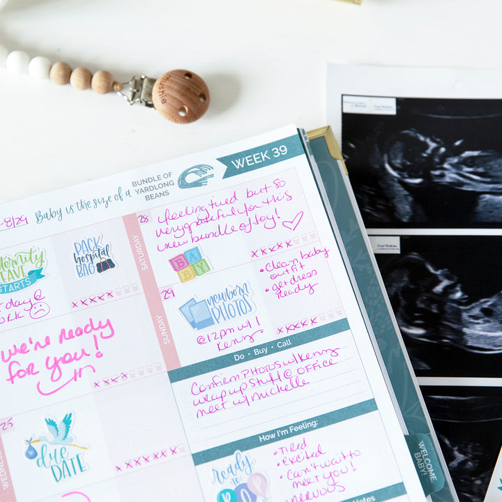 Planner Sticker Pack, Pregnancy & Baby's First Year