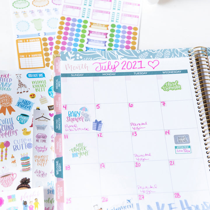 Planner Sticker Pack, Pregnancy & Baby's First Year