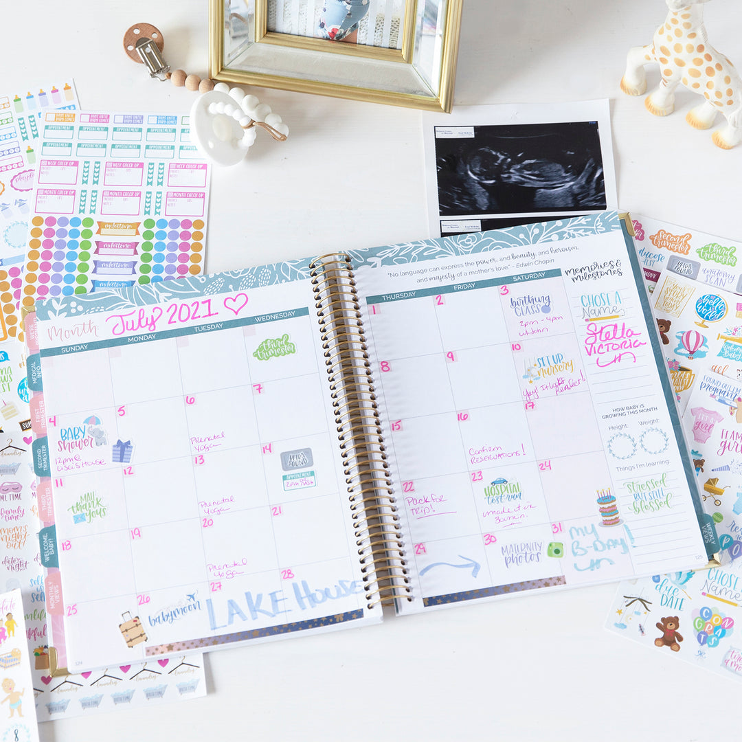 Planner Sticker Pack, Pregnancy & Baby's First Year