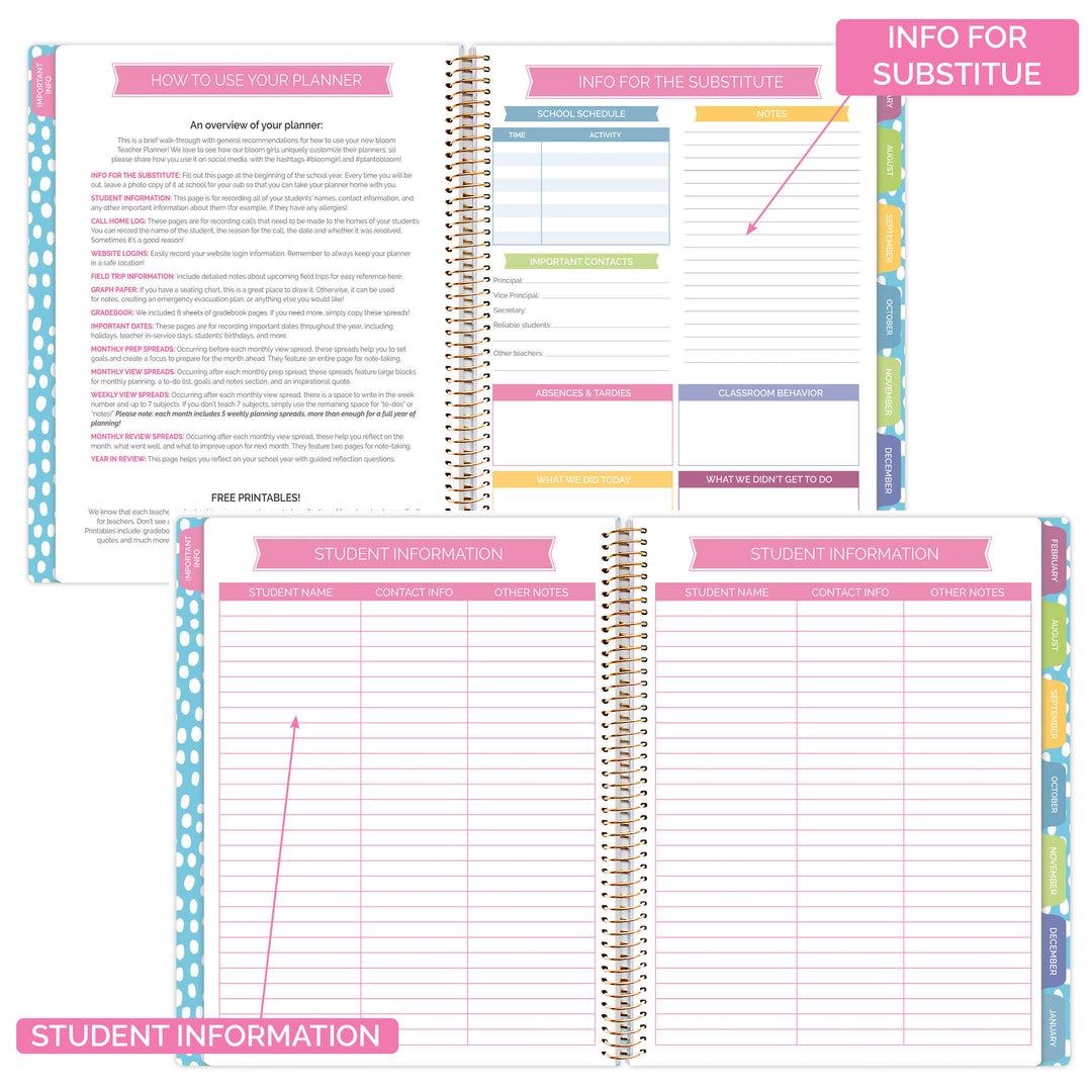 Undated Teacher Planner & Calendar, Learn with Joy