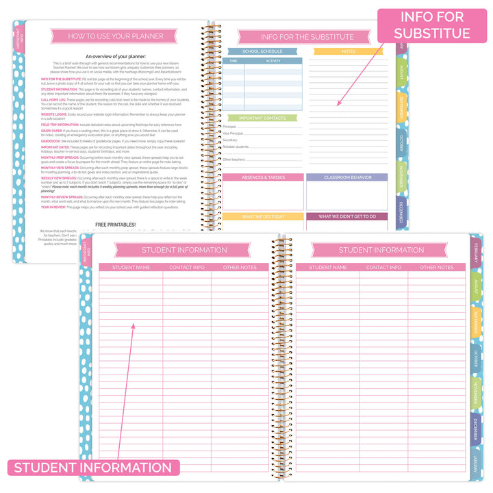 Undated Teacher Planner & Calendar, Learn with Joy