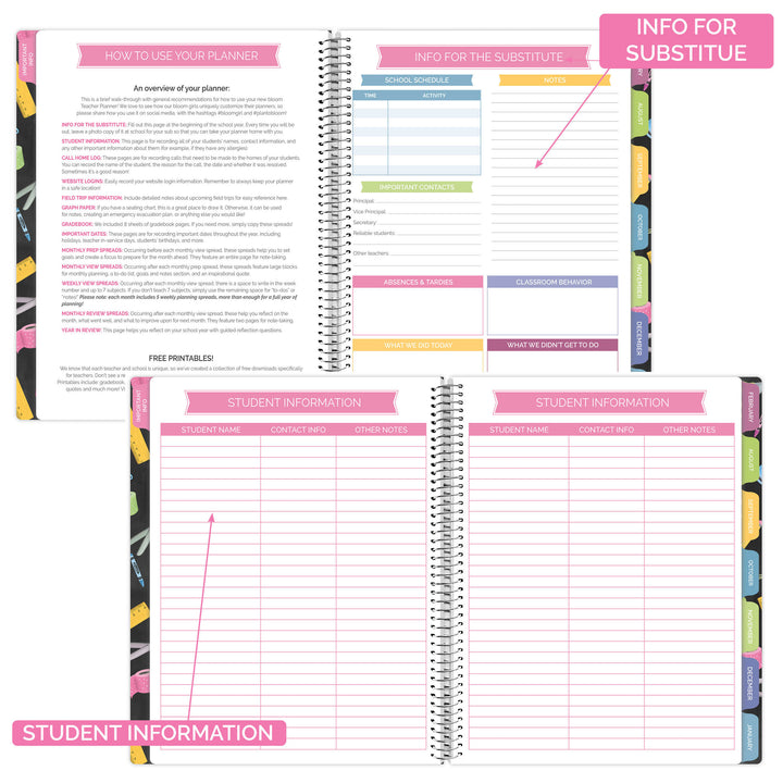 Undated Teacher Planner & Calendar, Chalkboard