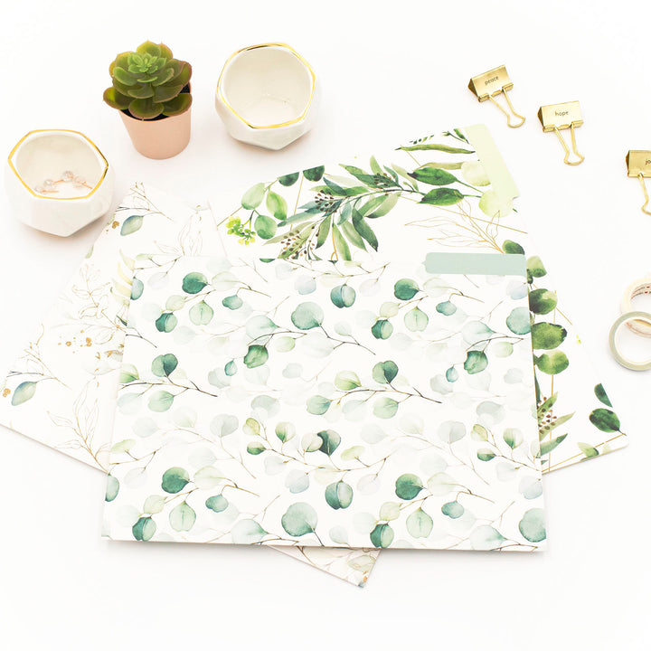 File Folder Set, 6 Pack, Eucalyptus
