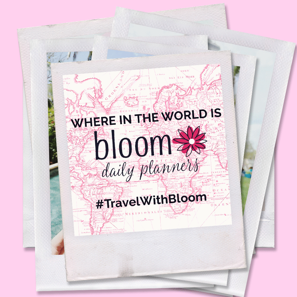 Where in the World is bloom?!