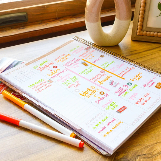 Best Daily Planner 2026 Guide: Layouts, Tips & Picks