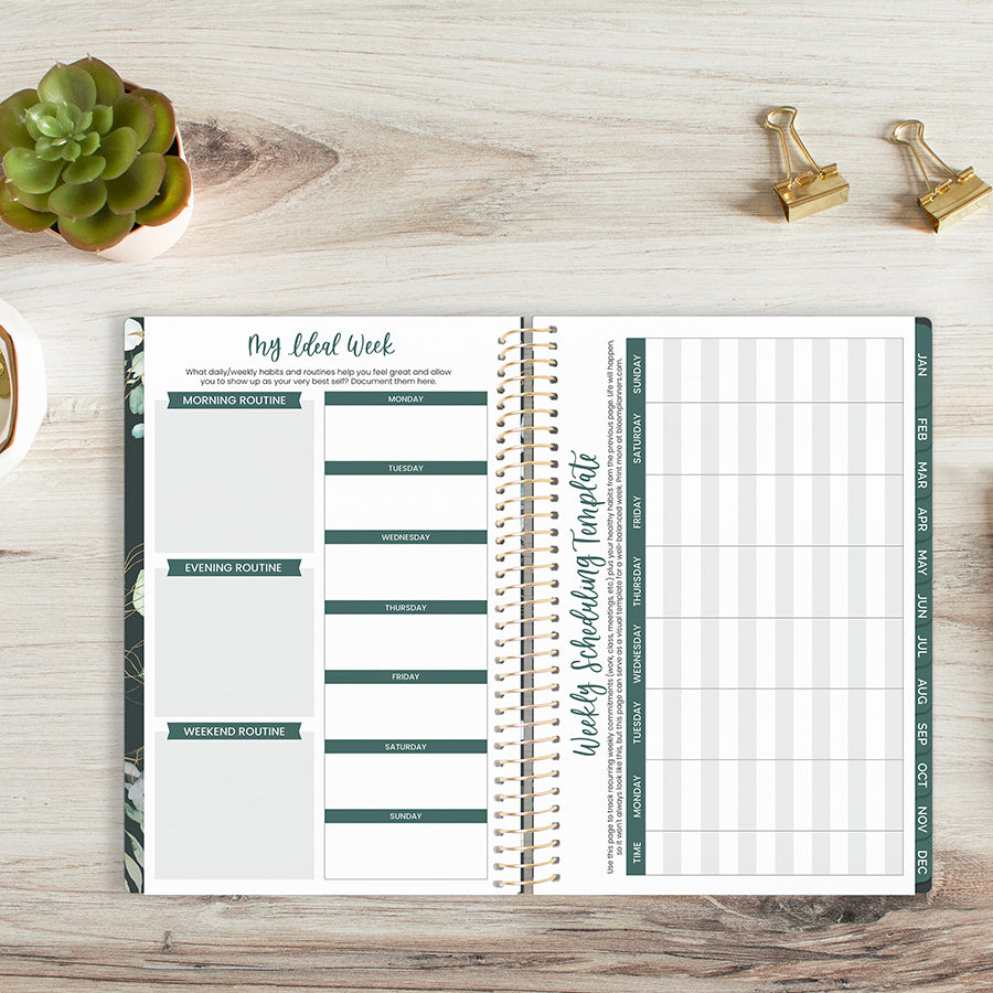 2026 Soft Cover Planner, 5.5" x 8.25", Eucalyptus, Green