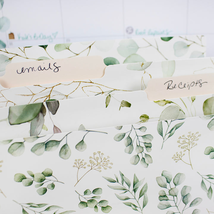 File Folder Set, Eucalyptus, 12 Pack