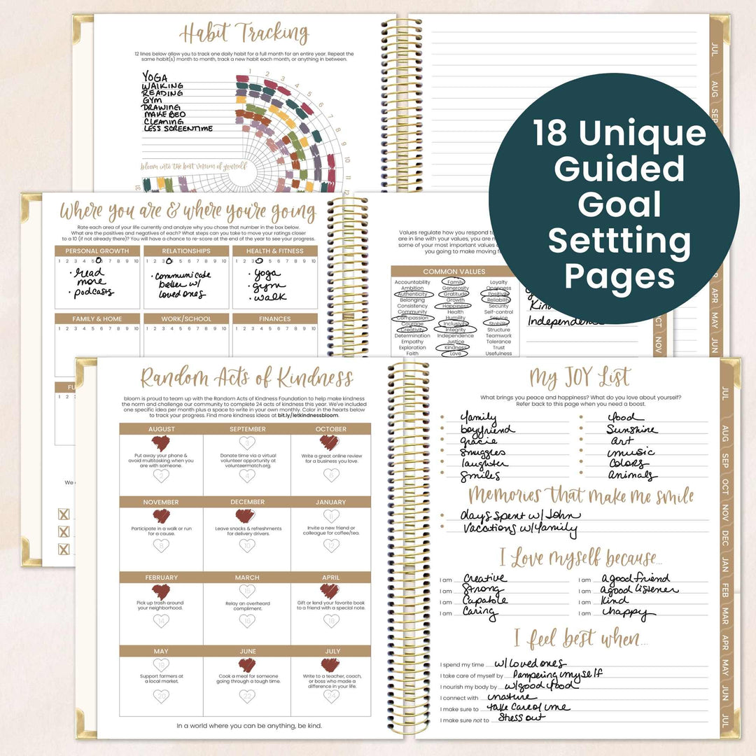 Habit tracking and goal setting pages with a focus on guided goal setting. Examples of filing out life coaching pages and planning for the year. 