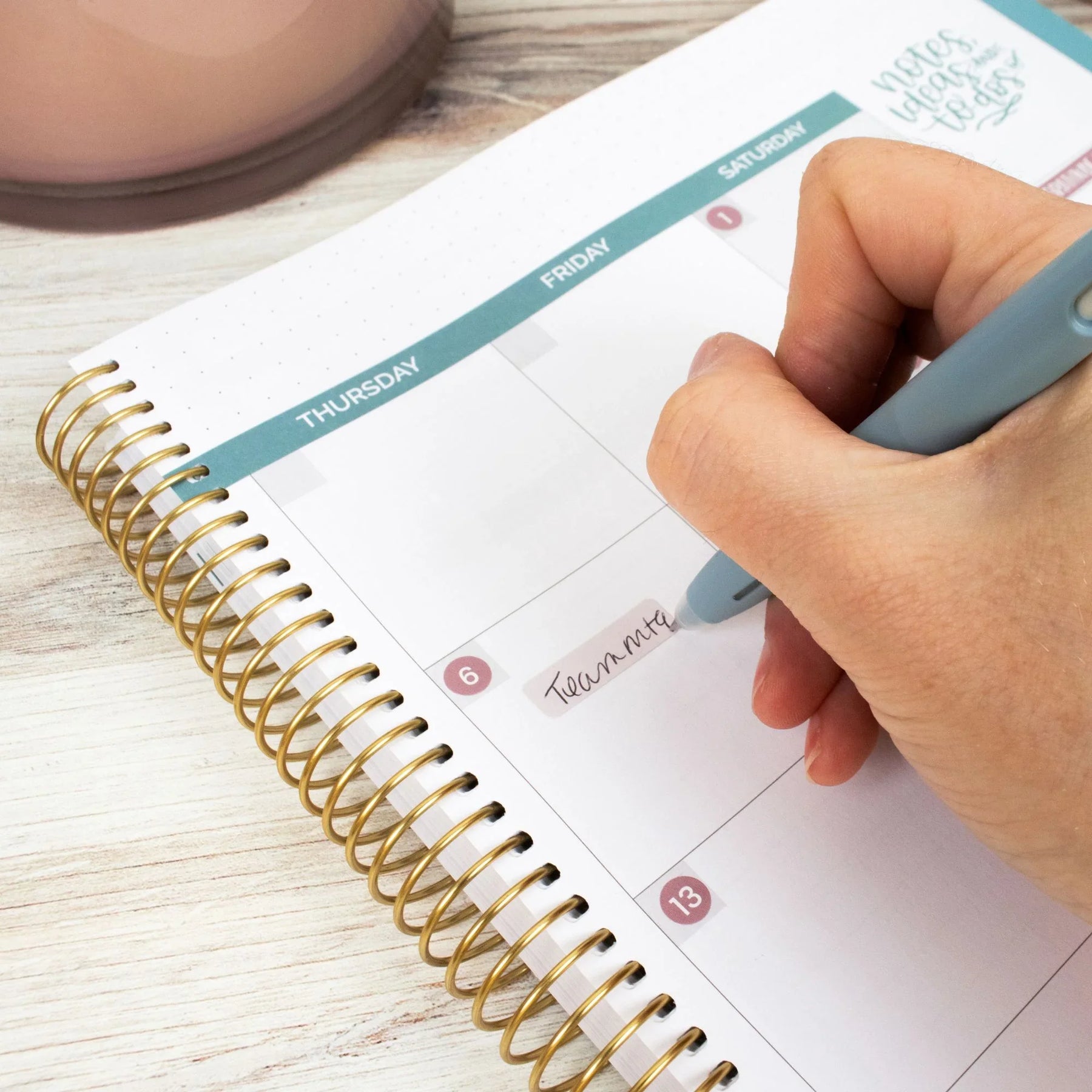 Planner Essentials Calendar Essential Planner Stickers by bloom daily planners®