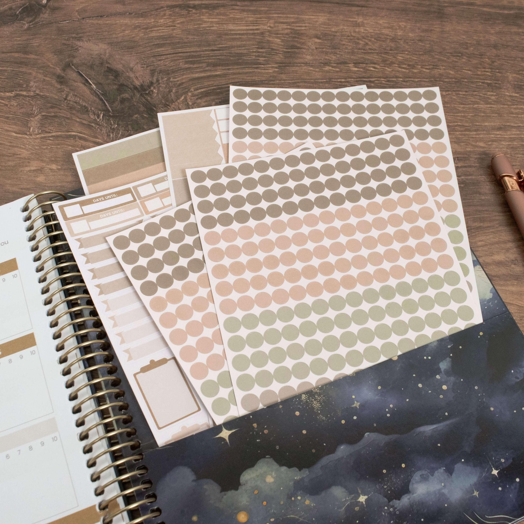 bloom Planner Stickers, Color Coding Pack, Aesthetic Boho – bloom daily ...
