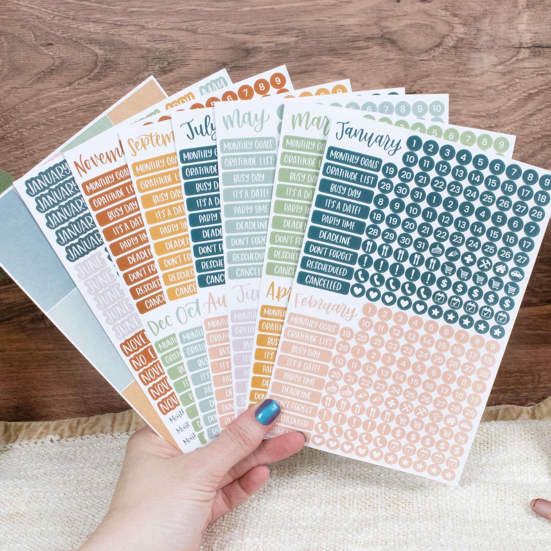 Calendar Essential Planner Stickers by bloom daily planners®