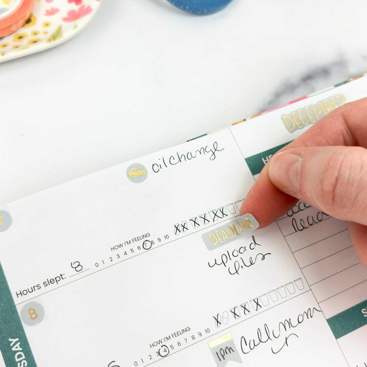 Hand holding a planner with stickers on a white surface