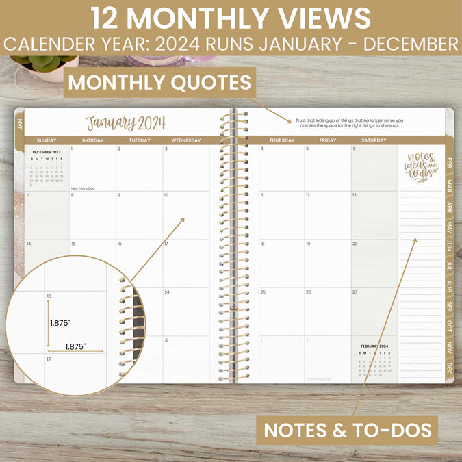 bloom daily planners 2024 (8.5 x 11) Calendar Year Day Planner (January  2024 - December 2024) - Weekly/Monthly Dated Agenda Organizer with Tabs 