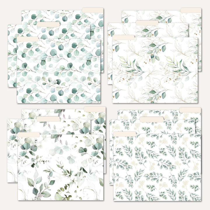 File Folder Set, Eucalyptus, 12 Pack