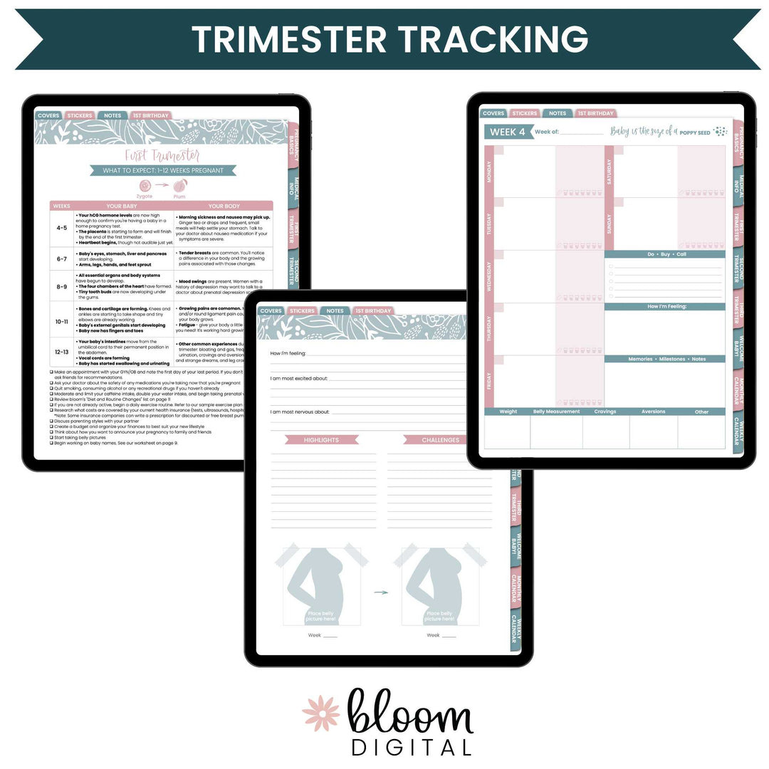 Digital Planner, Pregnancy & Baby's First Year