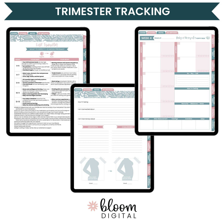 Digital Planner, Pregnancy & Baby's First Year