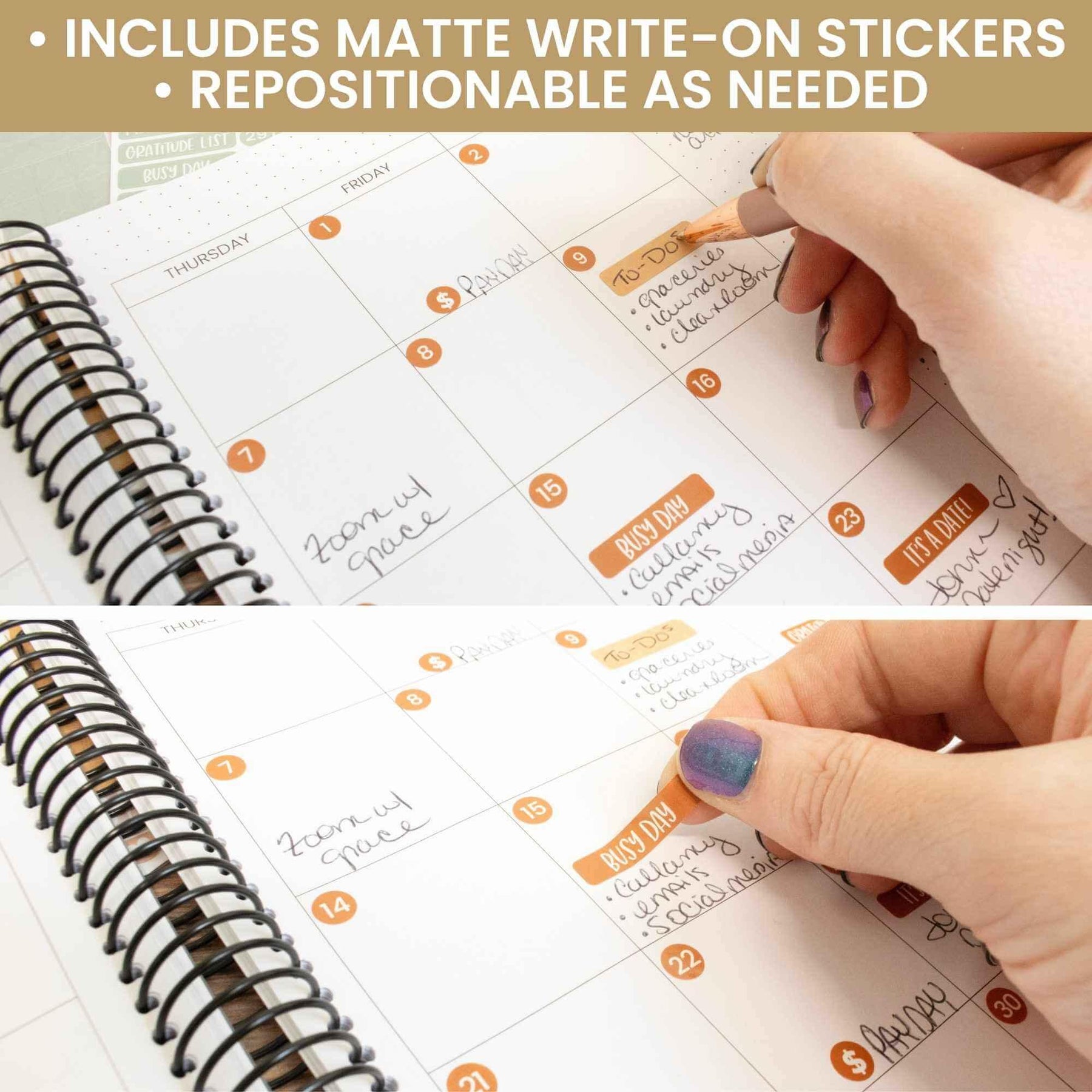 Calendar Essential Planner Stickers by bloom daily planners®