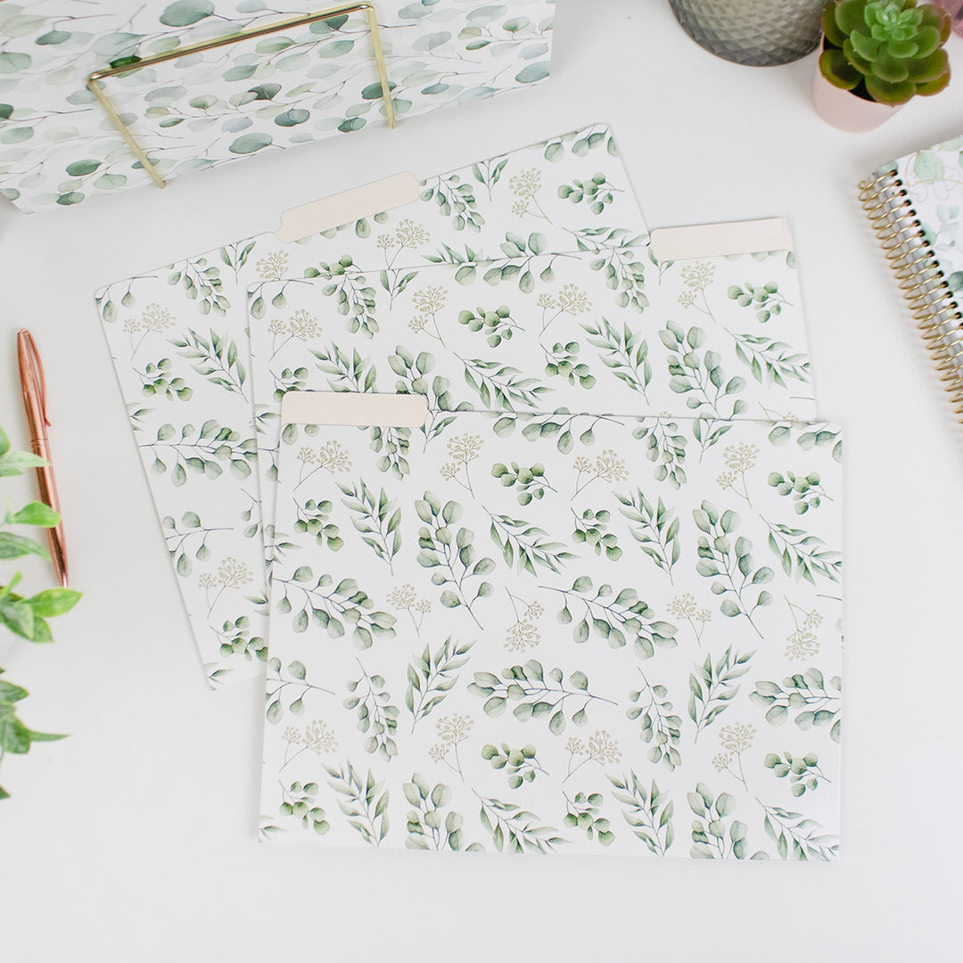 File Folder Set, Eucalyptus, 12 Pack