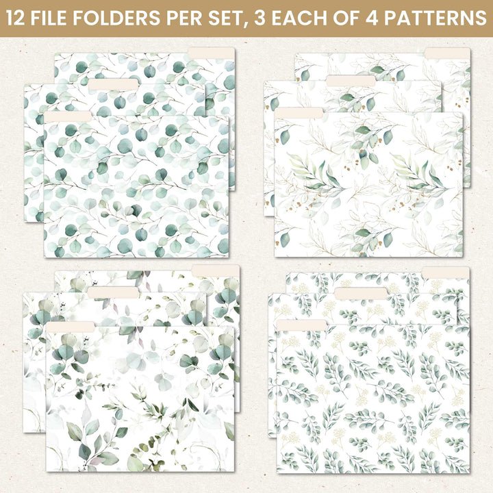 File Folder Set, Eucalyptus, 12 Pack