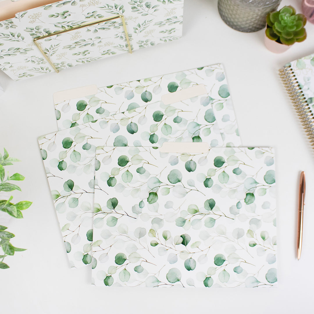 File Folder Set, Eucalyptus, 12 Pack