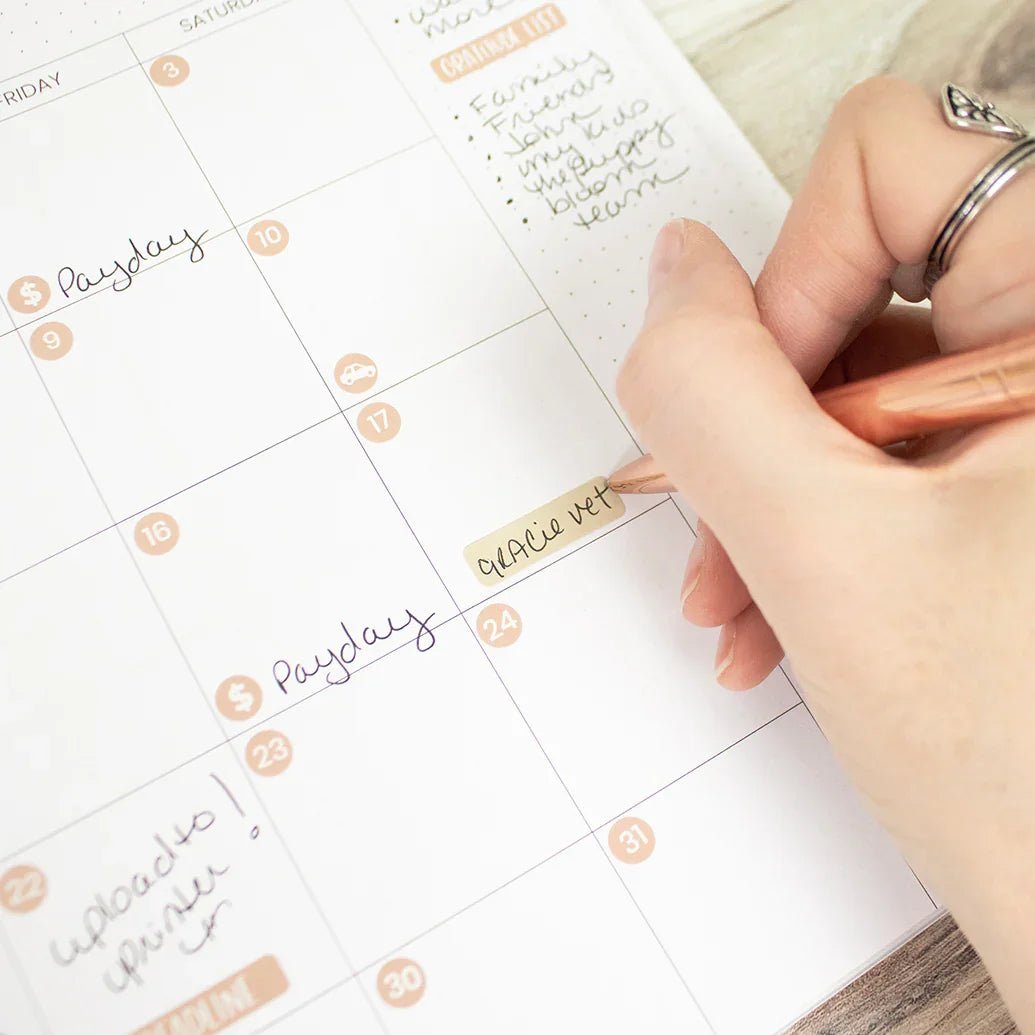 Design Essentials Calendar Calendar Essentials Sticker Pack by bloom daily planners®
