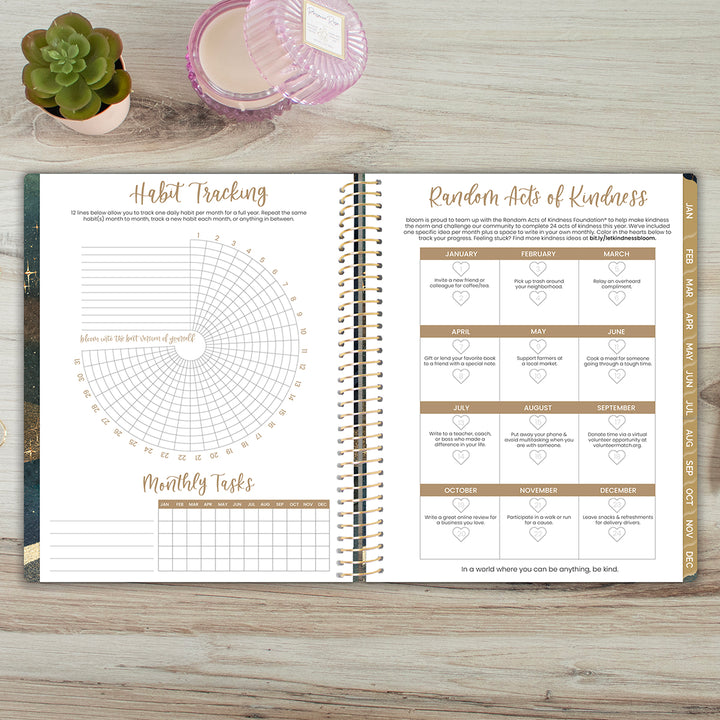 2026 Soft Cover Planner, 8.5" x 11", Celestial Skies