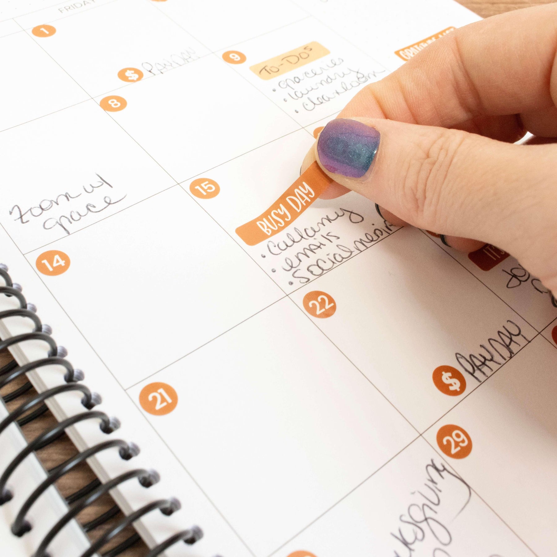 Calendar Essential Planner Stickers by bloom daily planners®