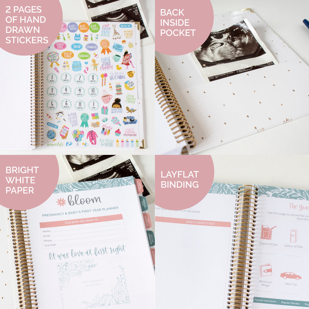 bloom daily planners Sticker Sheets, Pregnancy & Baby's First Year