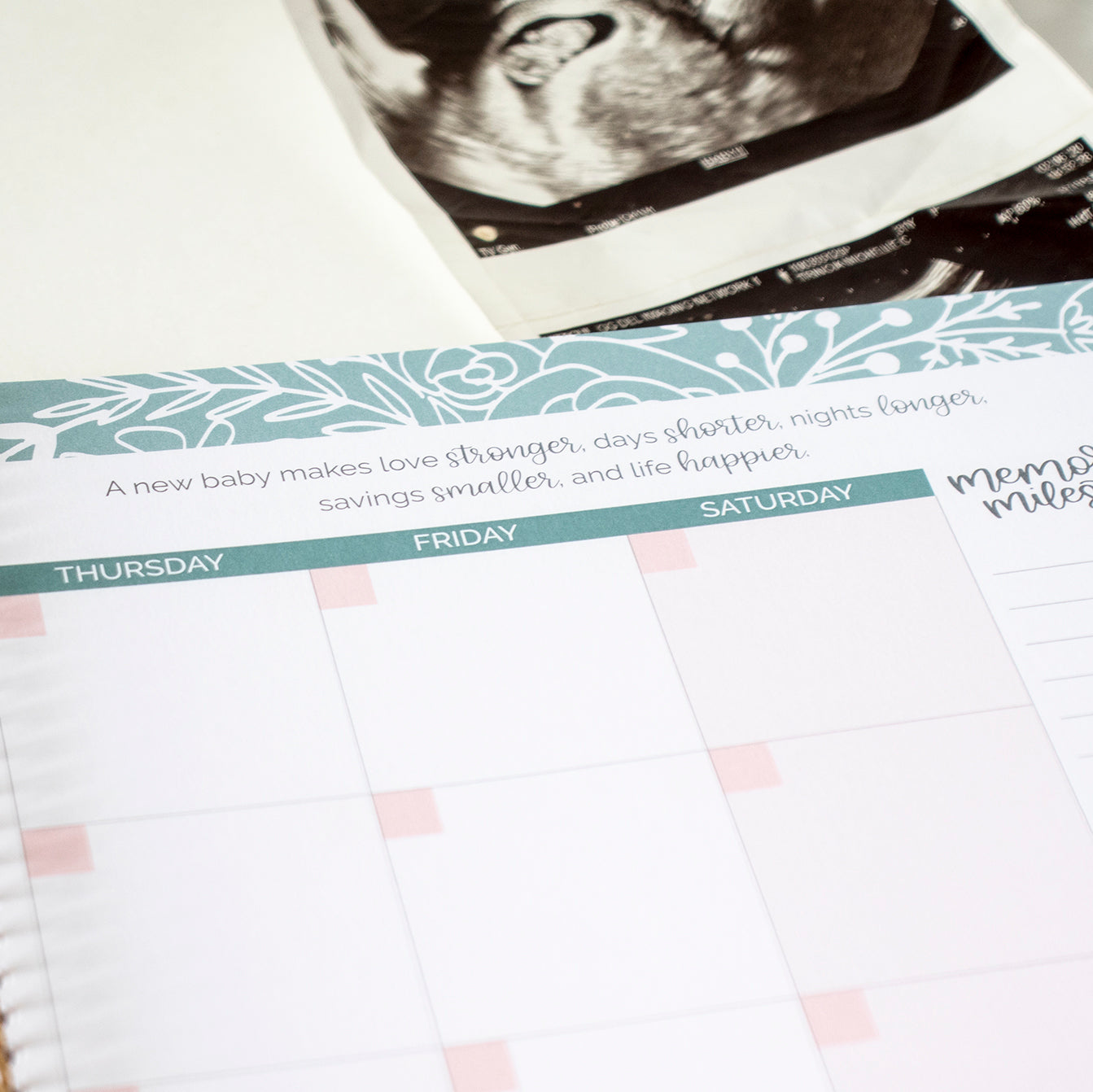 Pregnancy Baby s First Year Planner Journal bloom planners