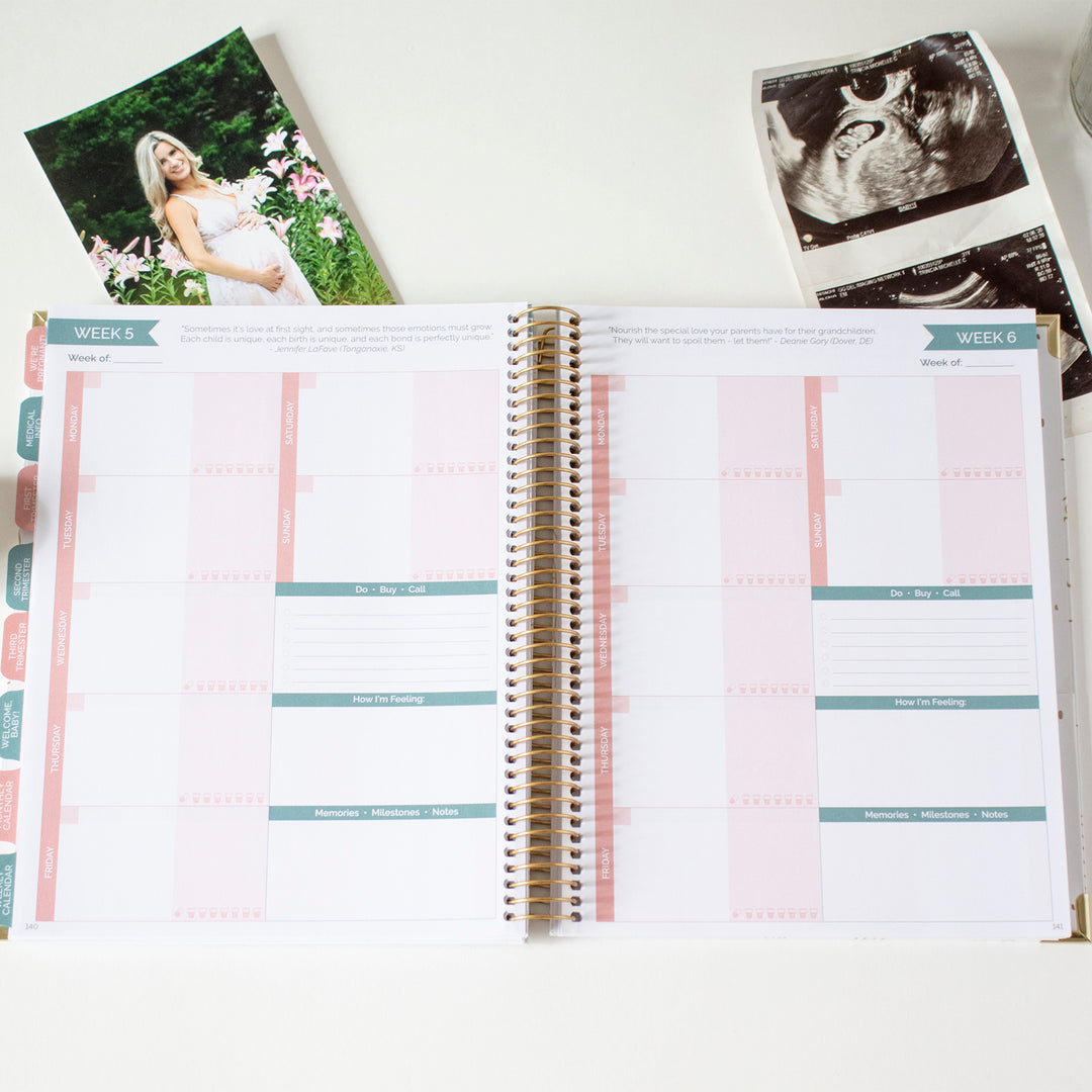 Pregnancy & Baby's First Year Planner Journal - bloom planners® – bloom  daily planners