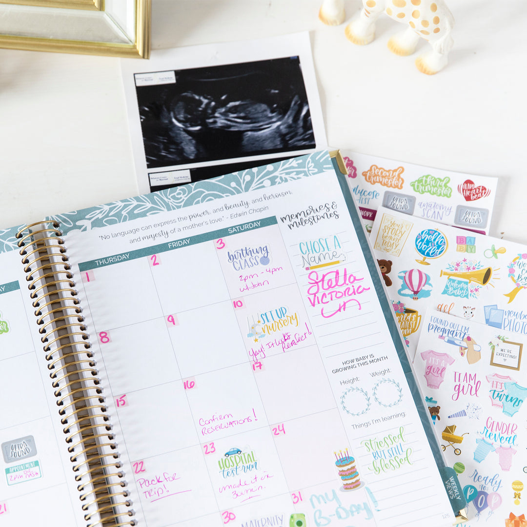 CIEMODA Pregnancy Journal Planer Sticker,Baby's First Year Planner Sticker  Pack,Pregnancy Must Haves Planner Stickers for Pregnancy Journal