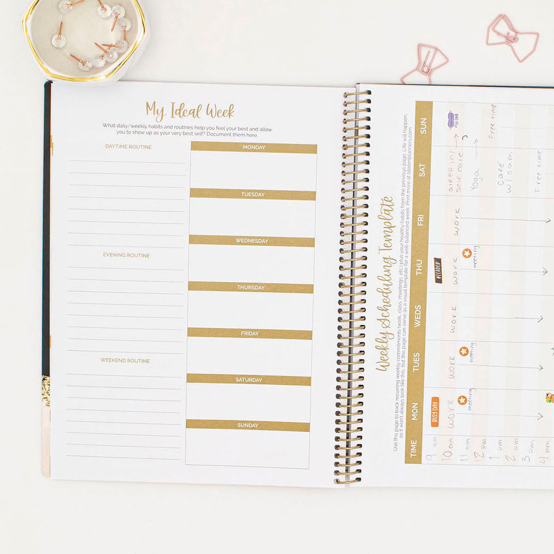 2023-24 Soft Cover Planner, 8.5" x 11", Zodiac