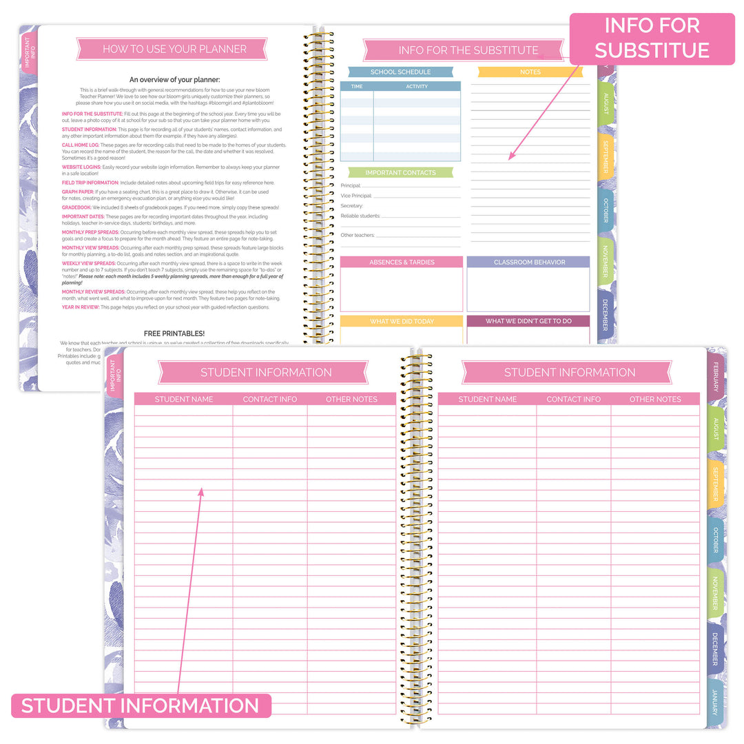 20 Instagram Posts Giveaway/Winner Templates Bundle - Portugal