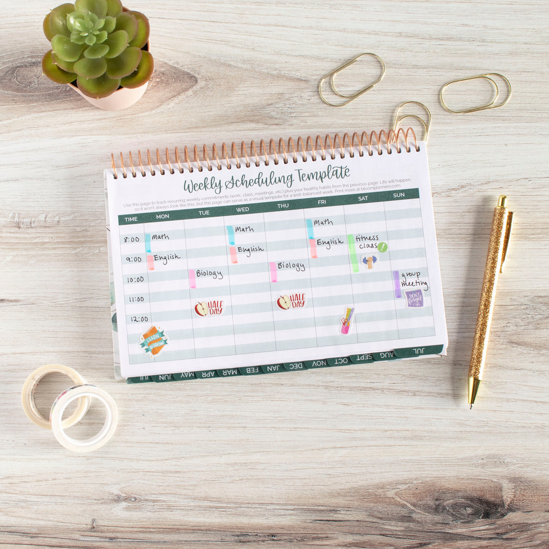 2023-24 Soft Cover Planner, 5.5" x 8.25", Modern Abstract, Green