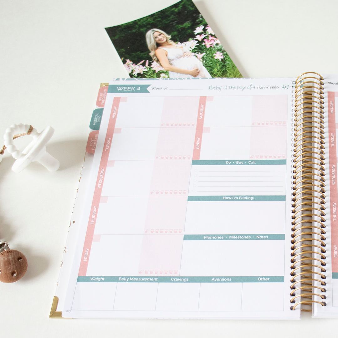 bloom daily planners Sticker Sheets, Pregnancy & Baby's First Year
