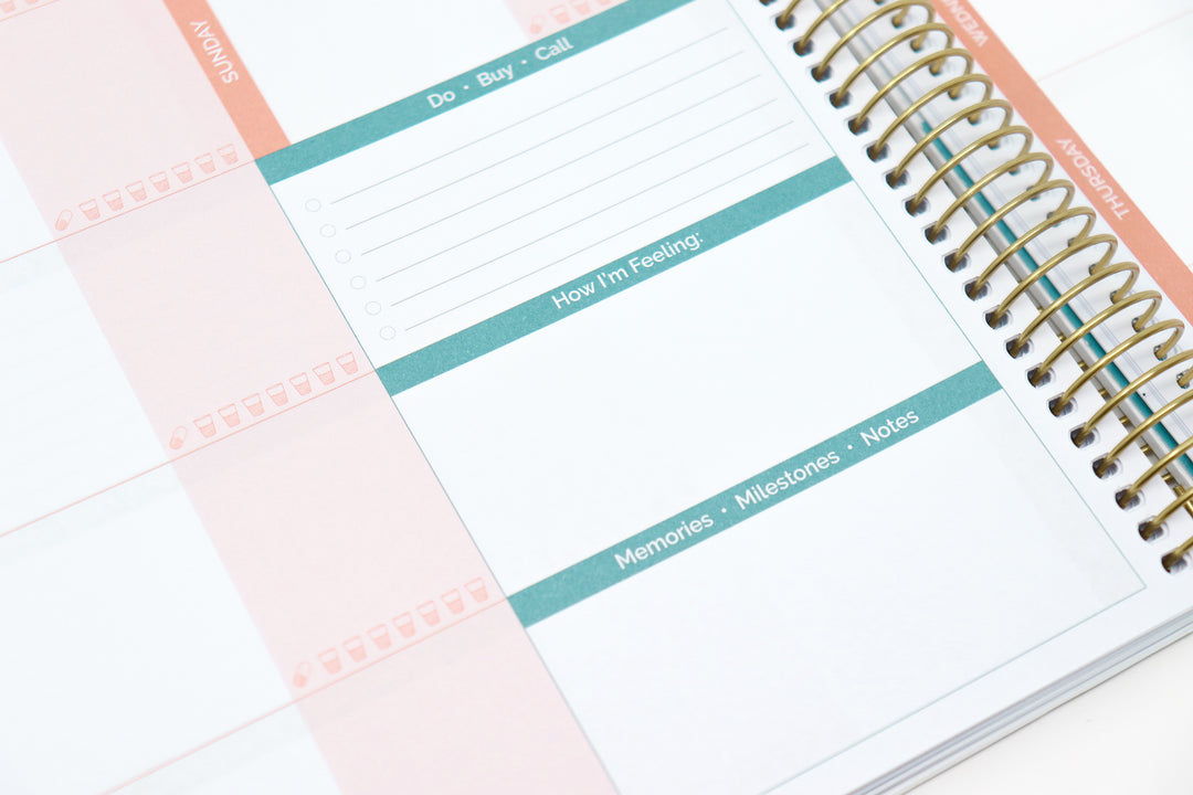 Pregnancy & Baby's First Year Stickers - bloom daily planners®